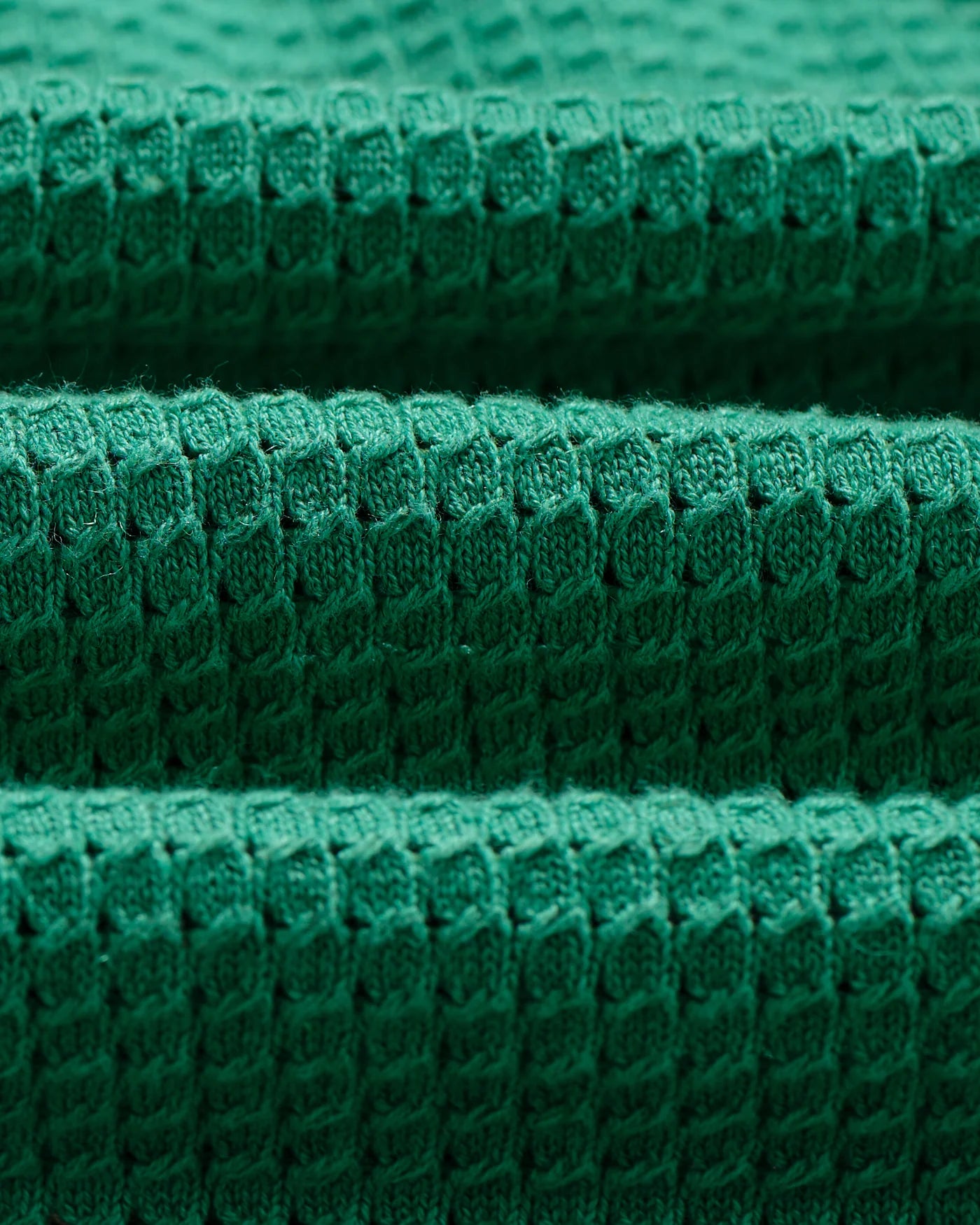 Wax London - Belle Tipped Pointelle Polo Shirt in Green