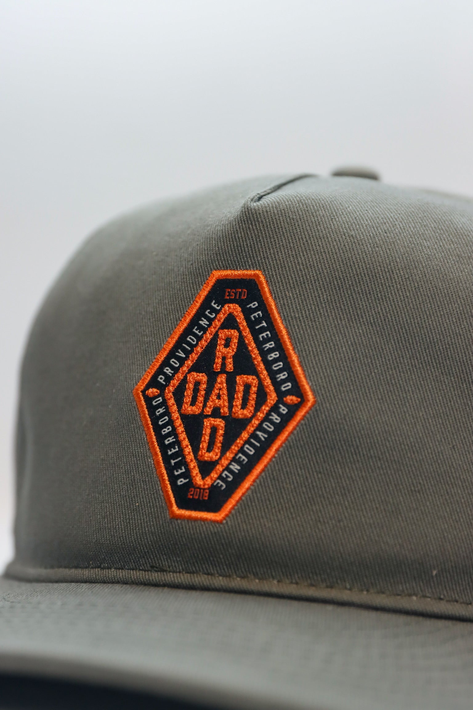 Providence - Rad Dad Snapback in Olive