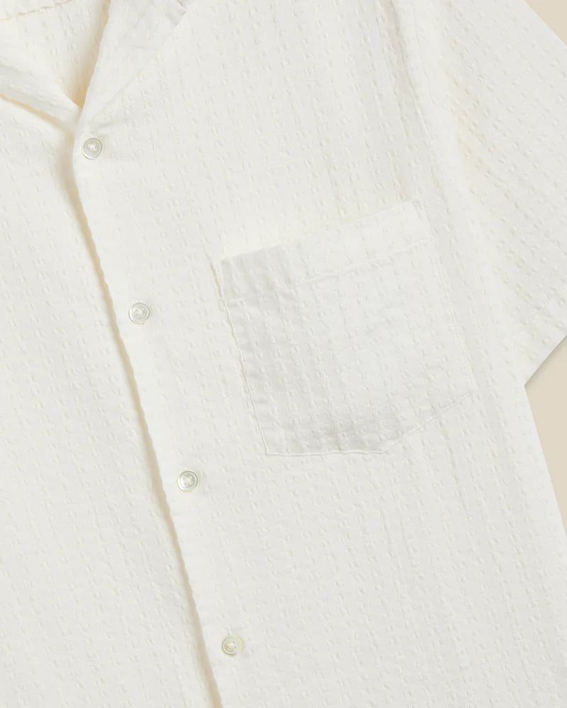Portuguese Flannel - Mondego